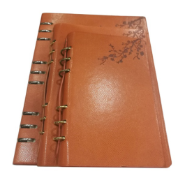 agenda in Reasonable Price