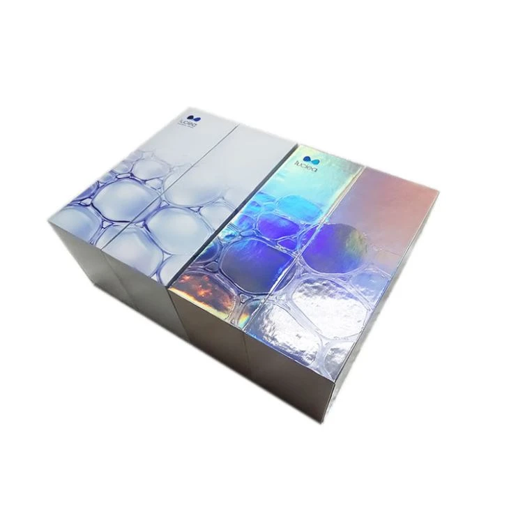 Creative Perfume Packaging